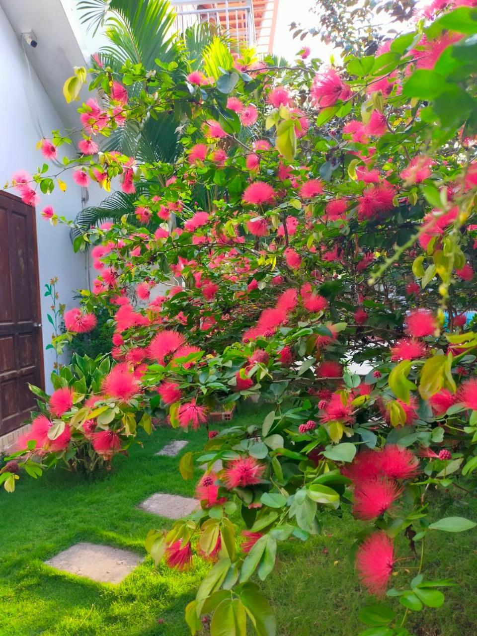 Serenity Garden Фу Куок Екстериор снимка